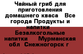 Чайный гриб для приготовления домашнего кваса - Все города Продукты и напитки » Безалкогольные напитки   . Мурманская обл.,Снежногорск г.